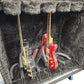 06 Way Guitar And 04 Way Small String Instrument Vault